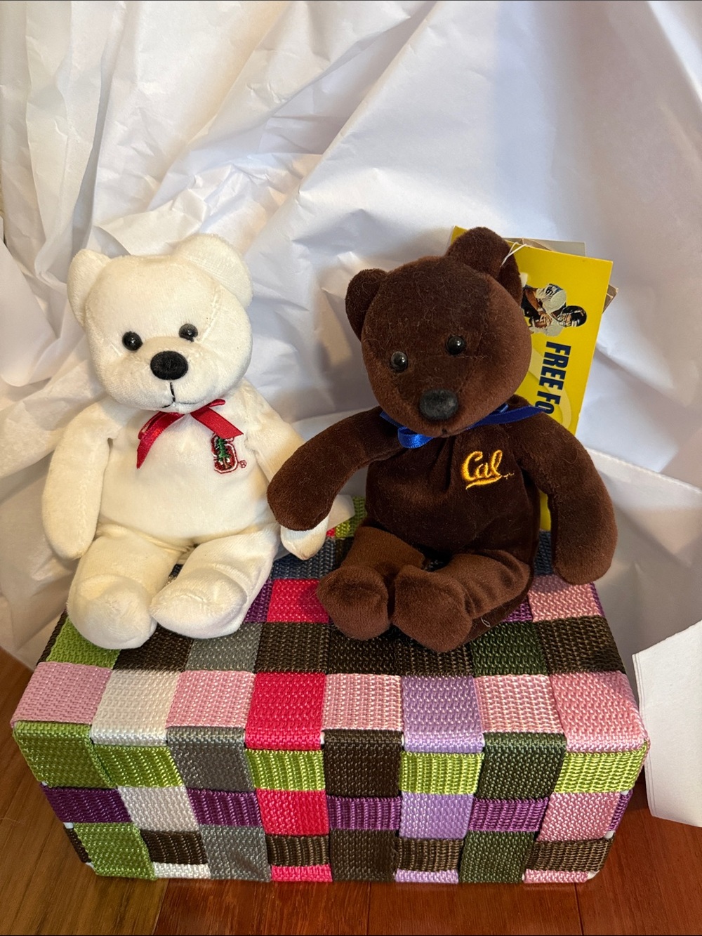 Ty White Stanford Bear and Brown Cal Bear Plush Duo